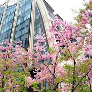 Sayaの写メ日記｜セレブ 川崎高級店ソープ