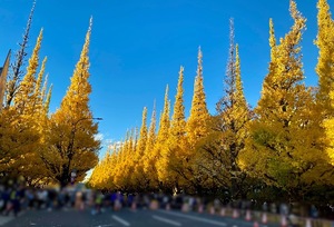 Ririaの写メ日記｜セレブ 川崎高級店ソープ