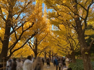 Ririaの写メ日記｜セレブ 川崎高級店ソープ