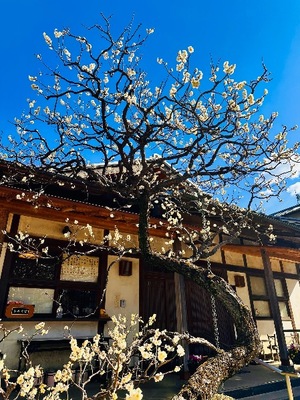 Meguの写メ日記｜セレブ 川崎高級店ソープ