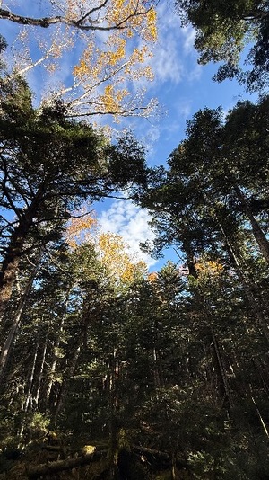 Chigusaの写メ日記｜セレブ 川崎高級店ソープ