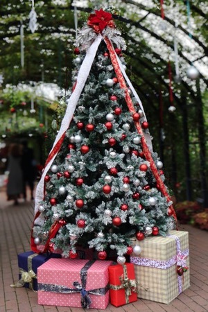 Hiroの写メ日記｜セレブ 川崎高級店ソープ