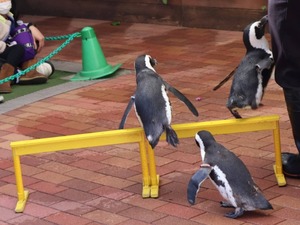 Hiroの写メ日記｜セレブ 川崎高級店ソープ