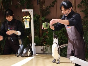Hiroの写メ日記｜セレブ 川崎高級店ソープ