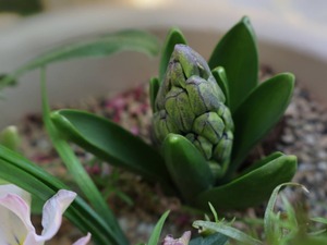 Hiroの写メ日記｜セレブ 川崎高級店ソープ
