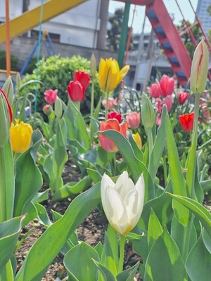 Hiroの写メ日記｜セレブ 川崎高級店ソープ