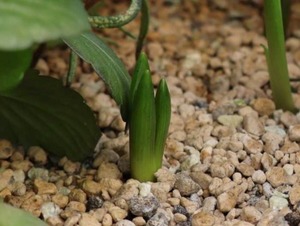 Hiroの写メ日記｜セレブ 川崎高級店ソープ