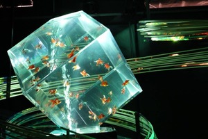 Hiroの写メ日記｜セレブ 川崎高級店ソープ