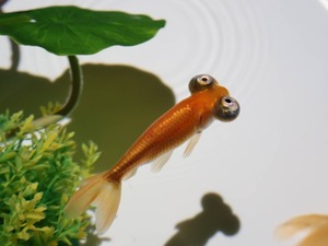 Hiroの写メ日記｜セレブ 川崎高級店ソープ