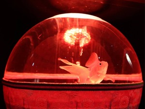 Hiroの写メ日記｜セレブ 川崎高級店ソープ