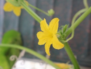 Hiroの写メ日記｜セレブ 川崎高級店ソープ