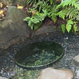 Reikaの写メ日記｜セレブ 川崎高級店ソープ