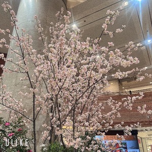 Rikaの写メ日記｜セレブ 川崎高級店ソープ