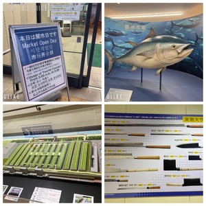 Rikaの写メ日記｜セレブ 川崎高級店ソープ