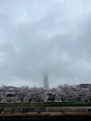 Rikaの写メ日記｜セレブ 川崎高級店ソープ