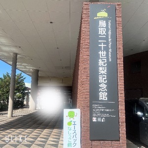 Rikaの写メ日記｜セレブ 川崎堀之内高級店ソープ