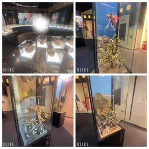 Rikaの写メ日記｜セレブ 川崎高級店ソープ