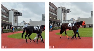 Rikaの写メ日記|セレブ 川崎堀之内高級店ソープ