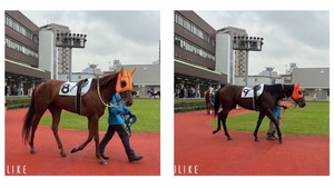 Rikaの写メ日記｜セレブ 川崎高級店ソープ