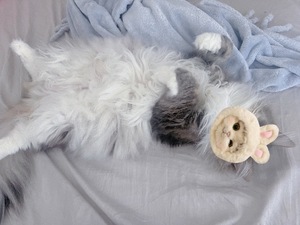 Marinaの写メ日記｜セレブ 川崎高級店ソープ