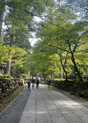 Fumikaの写メ日記｜セレブ 川崎高級店ソープ