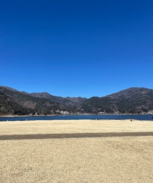 Mireaの写メ日記｜セレブ 川崎高級店ソープ