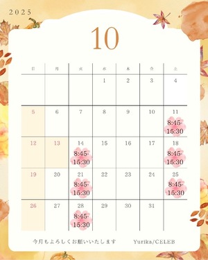 Yurikaの写メ日記|セレブ 川崎堀之内高級店ソープ