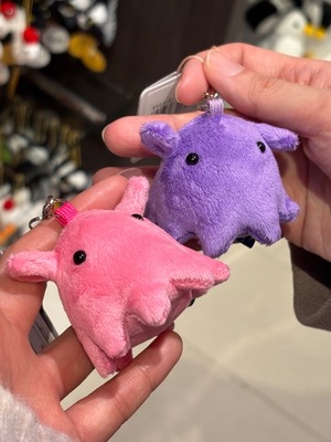 Momokaの写メ日記｜セレブ 川崎高級店ソープ