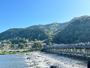 Ibukiの写メ日記｜セレブ 川崎高級店ソープ