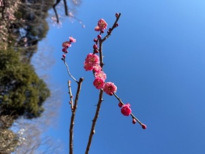 Yukinaの写メ日記｜セレブ 川崎高級店ソープ