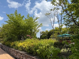 Yukinaの写メ日記｜セレブ 川崎高級店ソープ
