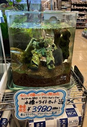 舞花の写メ日記｜ジャパンクラブ 横浜高級店ソープ