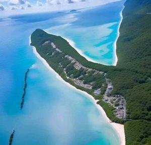 舞花の写メ日記｜ジャパンクラブ 川崎高級店ソープ