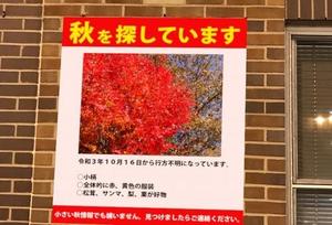 舞花の写メ日記｜ジャパンクラブ 川崎高級店ソープ