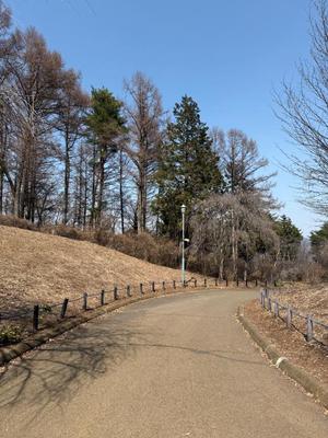 南の写メ日記｜ジャパンクラブ 川崎高級店ソープ