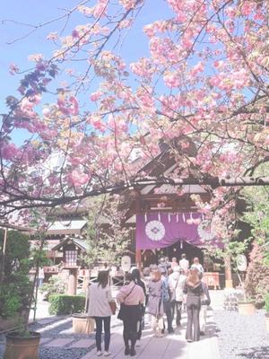 風花の写メ日記｜ジャパンクラブ 川崎高級店ソープ