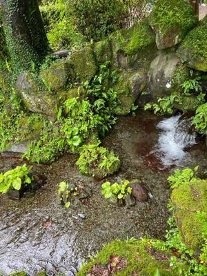 柊花の写メ日記｜ジャパンクラブ 川崎高級店ソープ