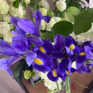 柊花の写メ日記｜ジャパンクラブ 川崎高級店ソープ