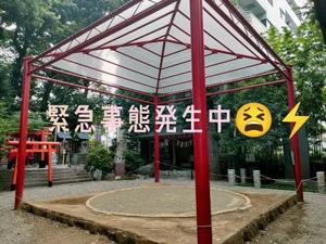 環の写メ日記｜ジャパンクラブ 川崎高級店ソープ