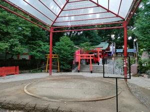環の写メ日記｜ジャパンクラブ 川崎高級店ソープ