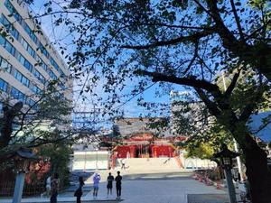 環の写メ日記|ジャパンクラブ 横浜高級店ソープ