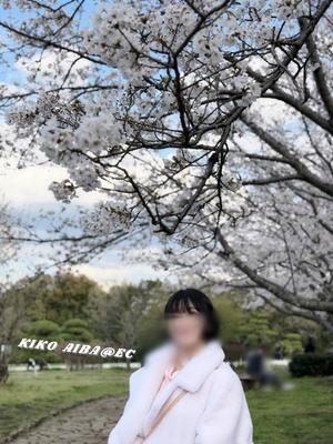 相葉　きこの写メ日記｜エル・カーヒル 秘密の刻 川崎高級店ソープ