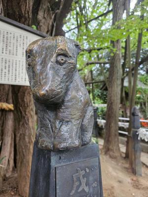 森沢　ゆりあの写メ日記｜エル・カーヒル 秘密の刻 川崎高級店ソープ