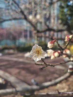 浜辺　ひなたの写メ日記｜エル・カーヒル 秘密の刻 川崎高級店ソープ