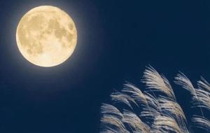 Mirei Takigawaの写メ日記｜エレガント 川崎高級店ソープ