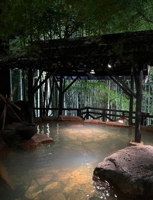 Misaki Arimuraの写メ日記｜エレガント 川崎高級店ソープ