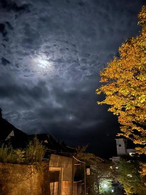 Misaki Arimuraの写メ日記|エレガント 川崎高級店ソープ