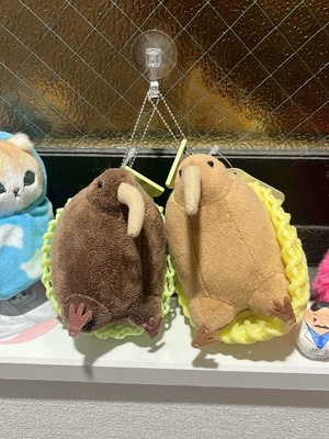 Akane Niikuraの写メ日記｜エレガント 川崎高級店ソープ