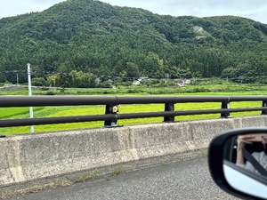 Yui Shinonomeの写メ日記｜エレガント 川崎高級店ソープ
