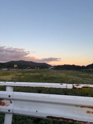 Yui Shinonomeの写メ日記｜エレガント 川崎高級店ソープ